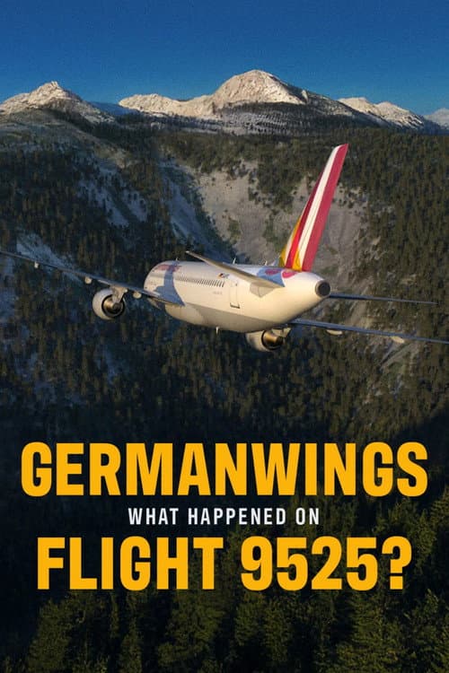 Germanwings: What Happened on Flight 9525? poster