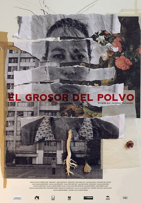 El Grosor del Polvo poster