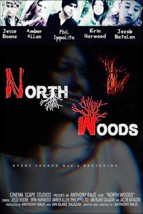 North Woods poster