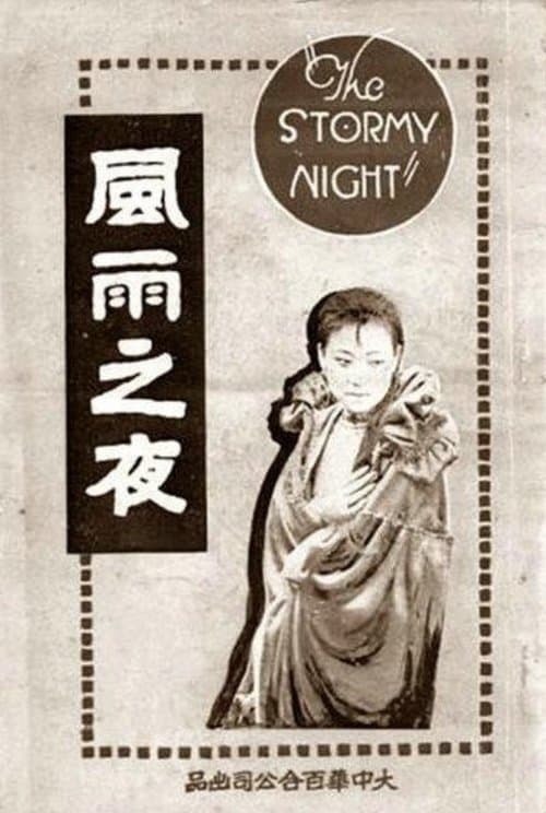 The Stormy Night poster