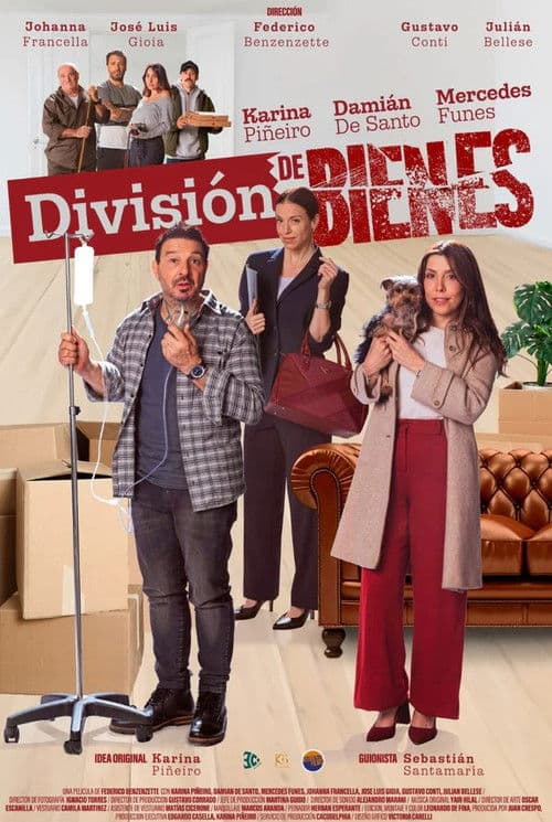 División de Bienes poster