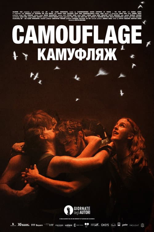 Camouflage poster