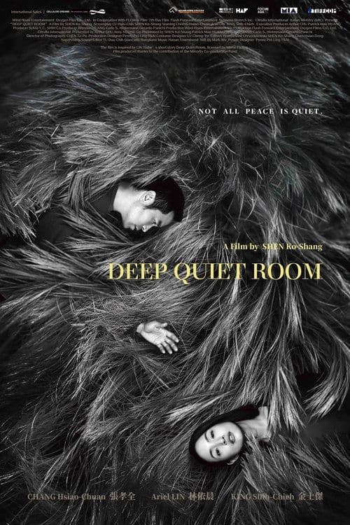 Deep Quiet Room poster