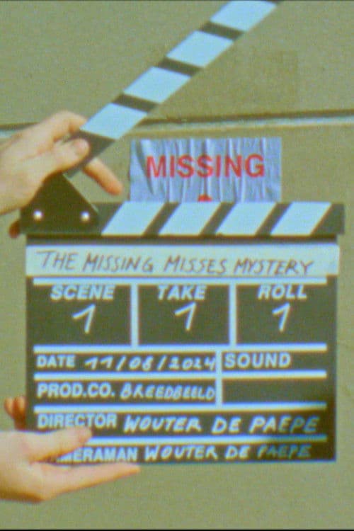 The Missing Misses Mystery poster