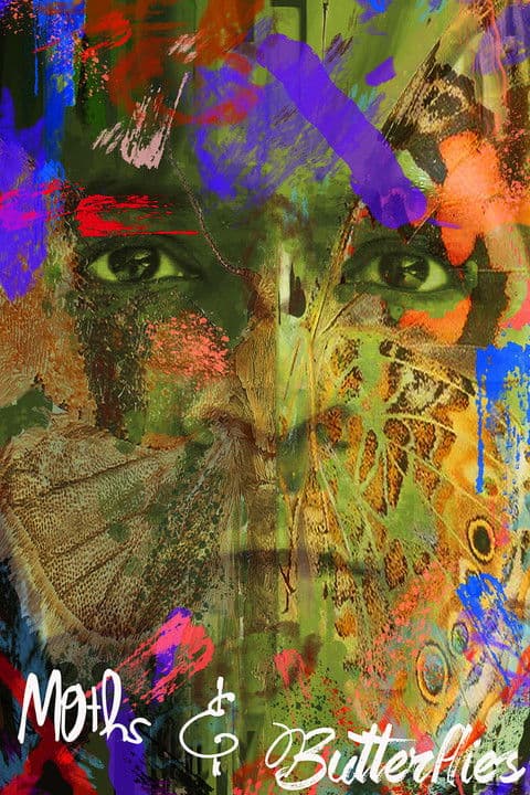 Moths & Butterflies poster