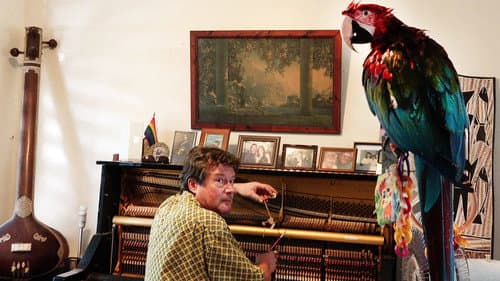The Piano Tuner poster