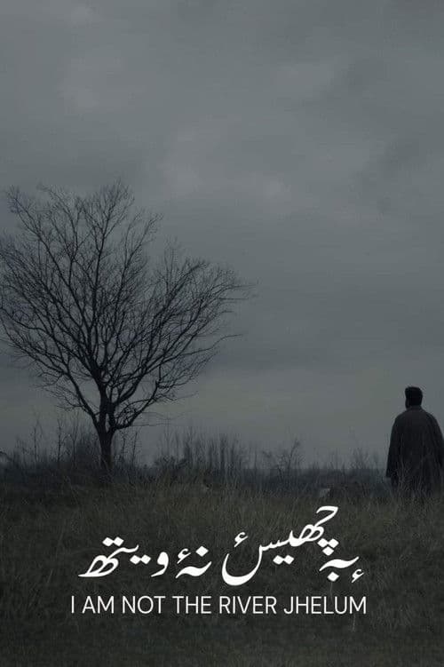 I'm Not The River Jhelum poster
