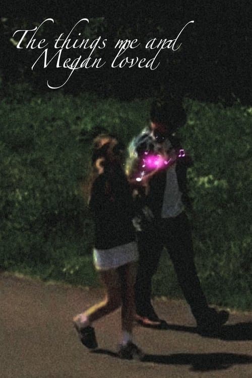 The Things Me and Megan Loved poster