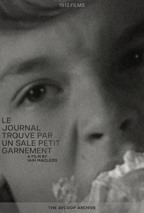 The Diary Found By A Nasty Kid poster