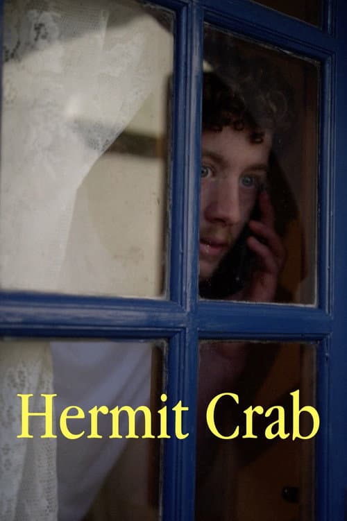 Hermit Crab poster