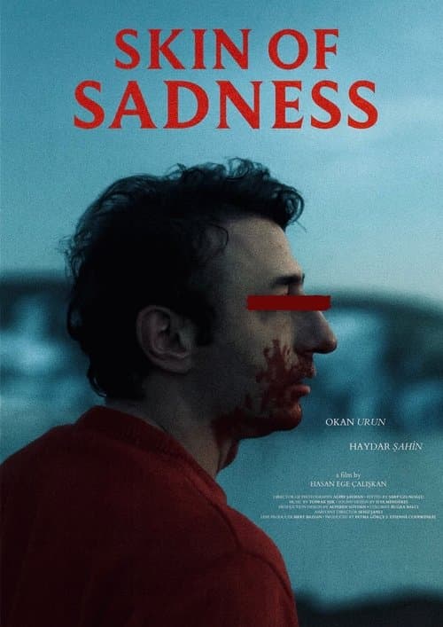 Skin of Sadness poster