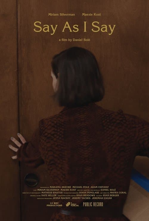 Say as I Say poster