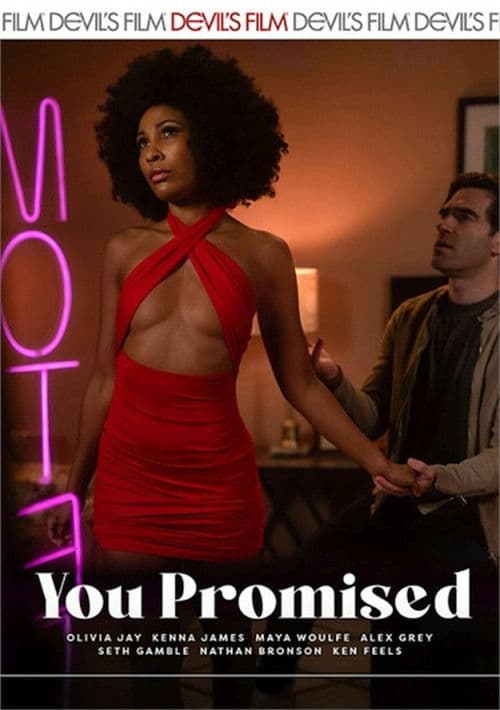 You Promised poster