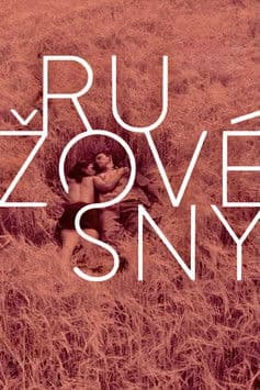 Rose Tinted Dreams poster