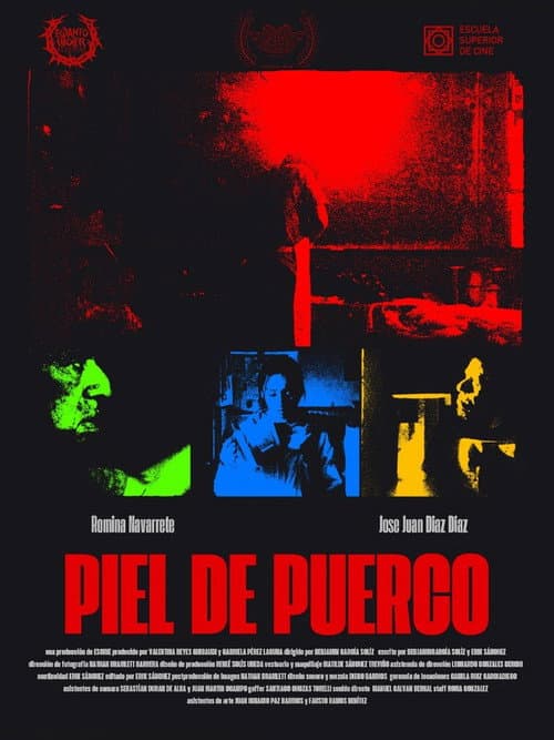 Piel de puerco poster