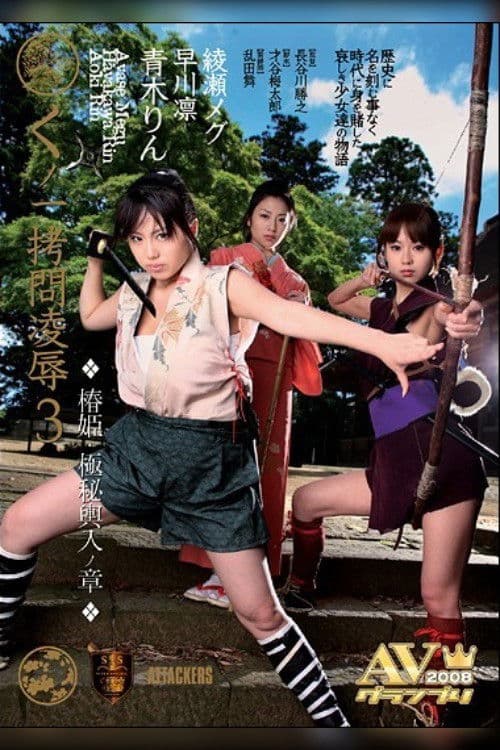 Princess Insult 3 - Secret of the Entrant poster