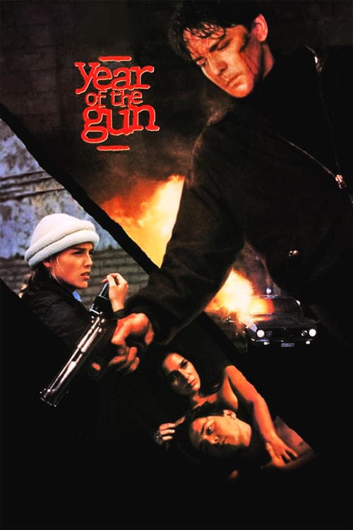 Year of the Gun poster