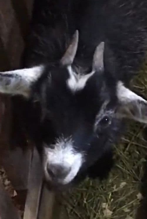 Jullie profile photo