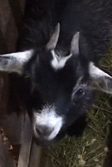 Jullie profile photo