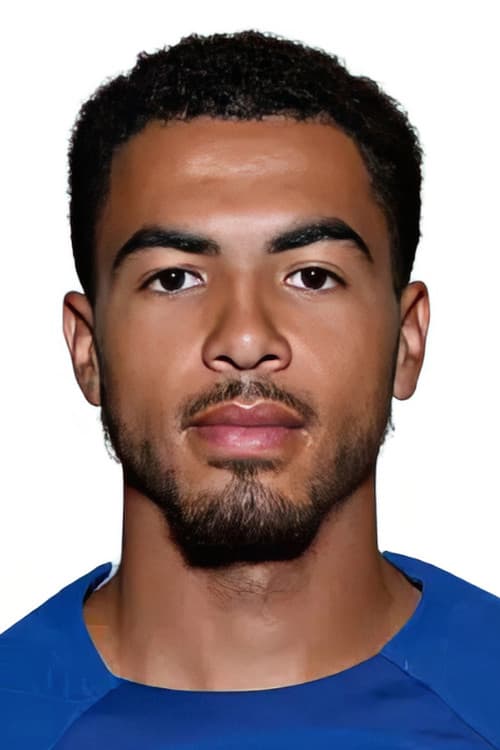 Levi Colwill profile photo