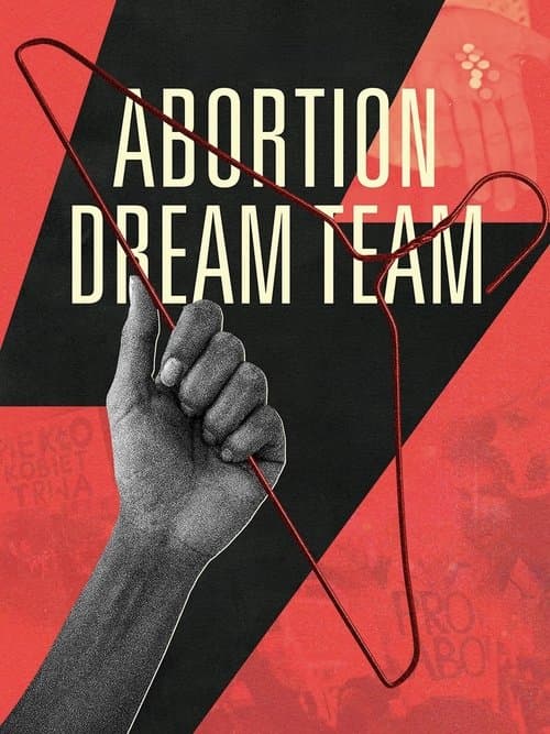 Abortion Dream Team poster
