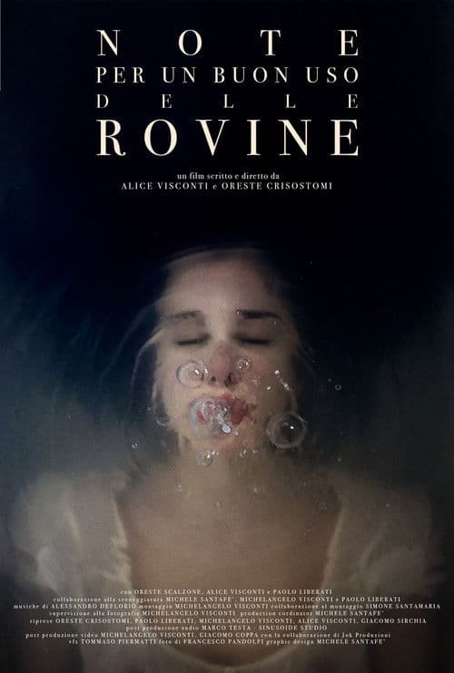 Notes For a Good Use of the Ruins poster