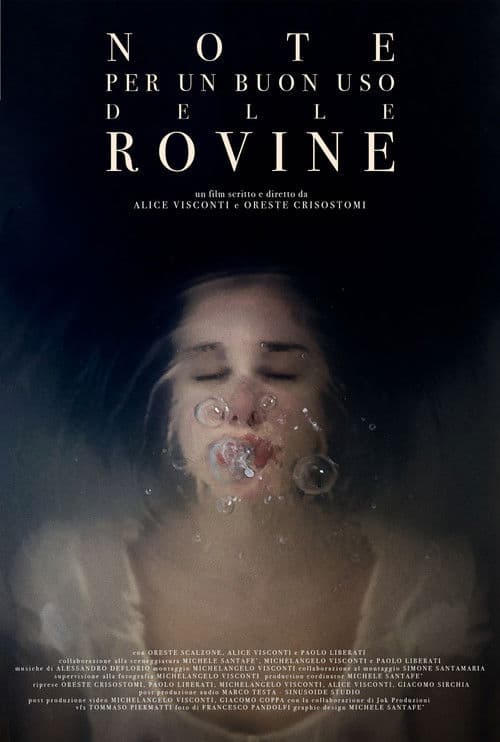 Notes For a Good Use of the Ruins poster