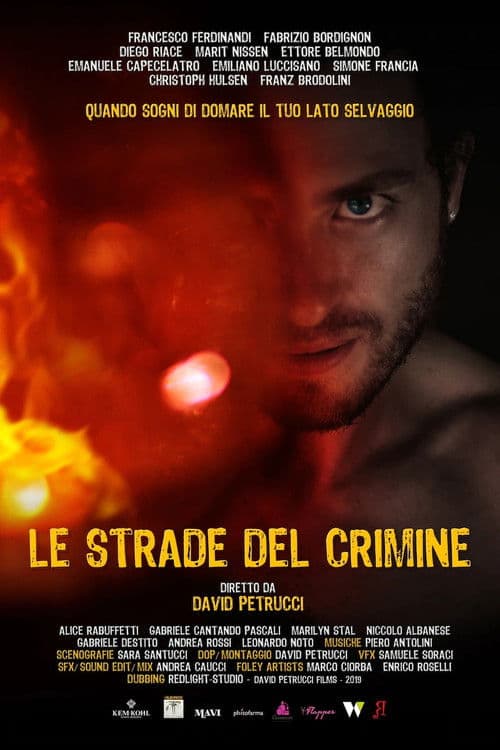 Le strade del crimine poster