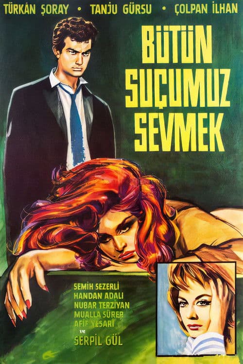 Bütün Suçumuz Sevmek poster
