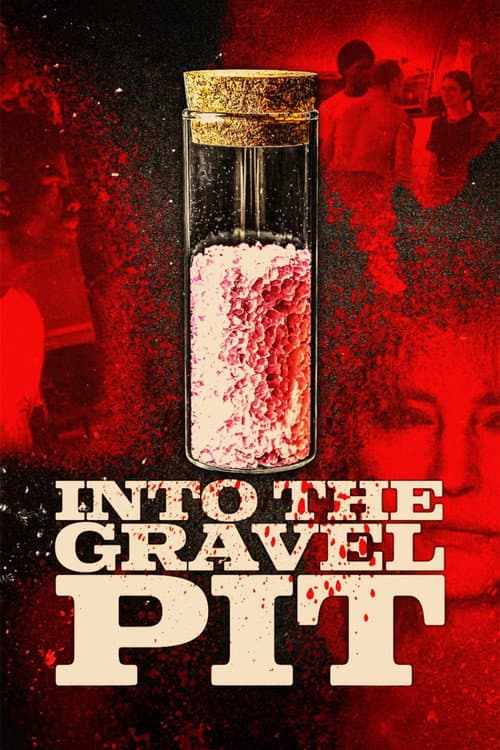 Into The Gravel Pit poster
