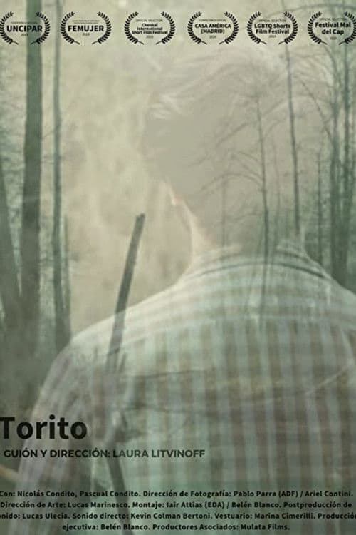 Torito poster