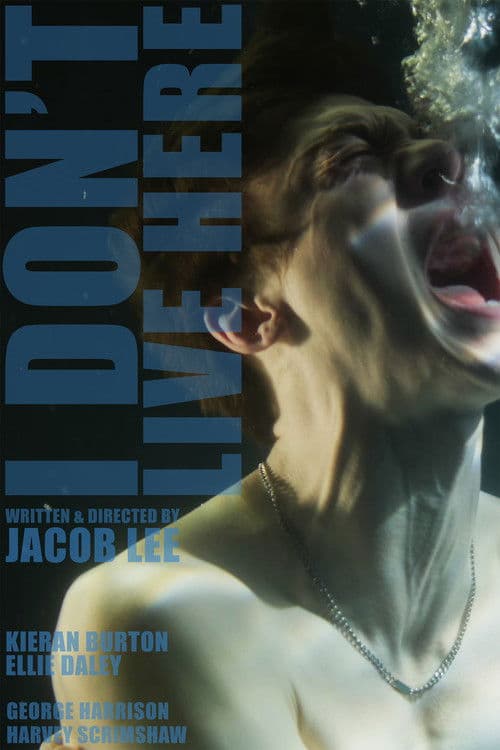 I Don't Live Here poster