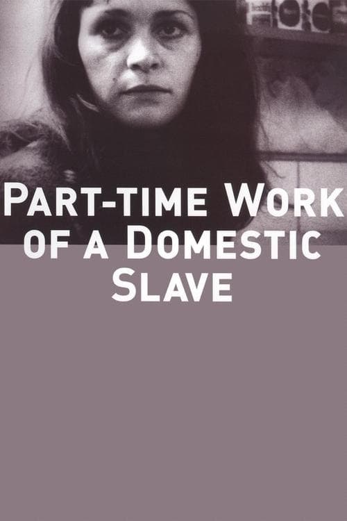 Part-Time Work of a Domestic Slave poster