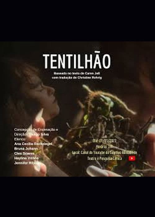 Tentilhão poster