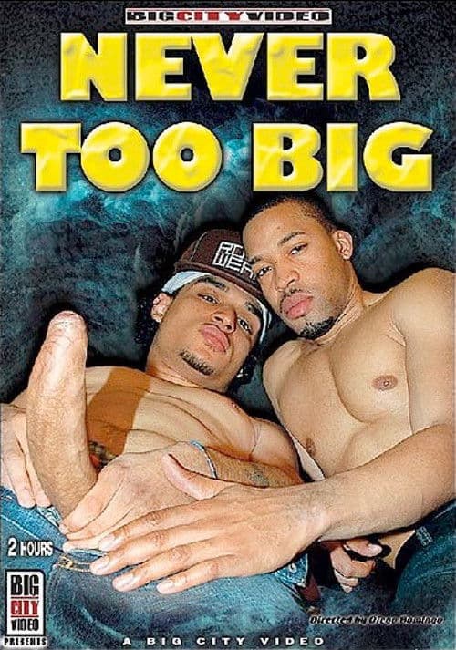 Never Too Big poster