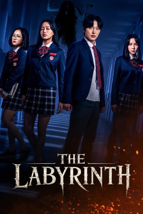 The Labyrinth poster