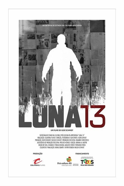 Luna 13 poster