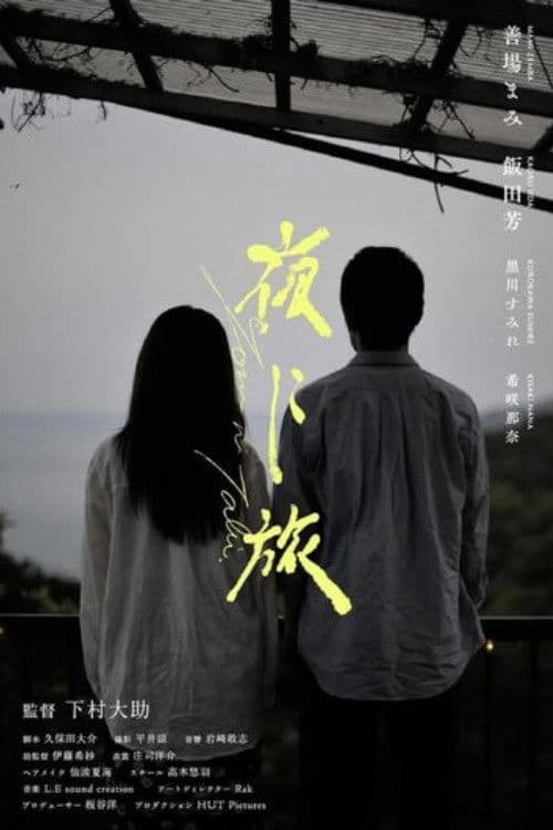 Journey Through the Night poster