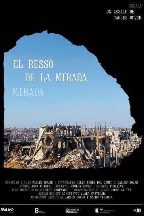 El ressò de la mirada poster