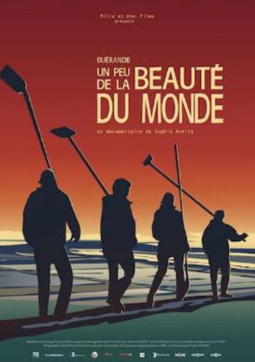 Guérande, un peu de la beauté du monde poster