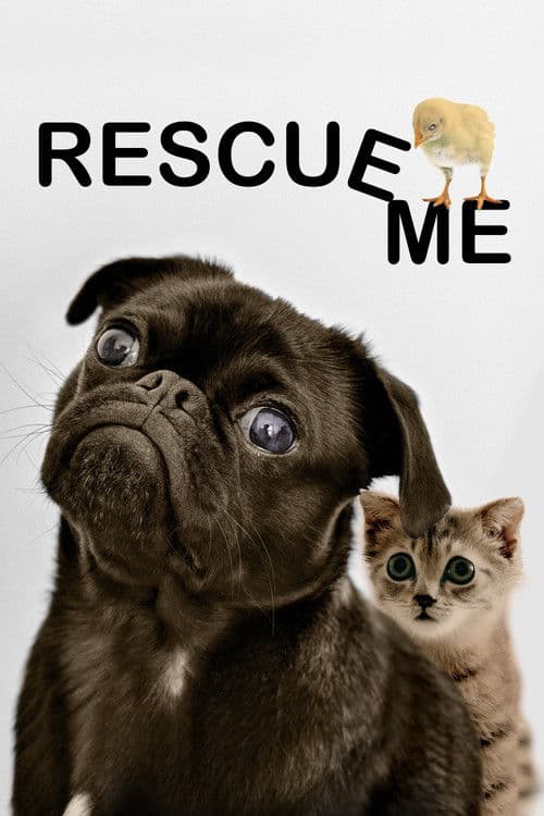 Rescue Me poster