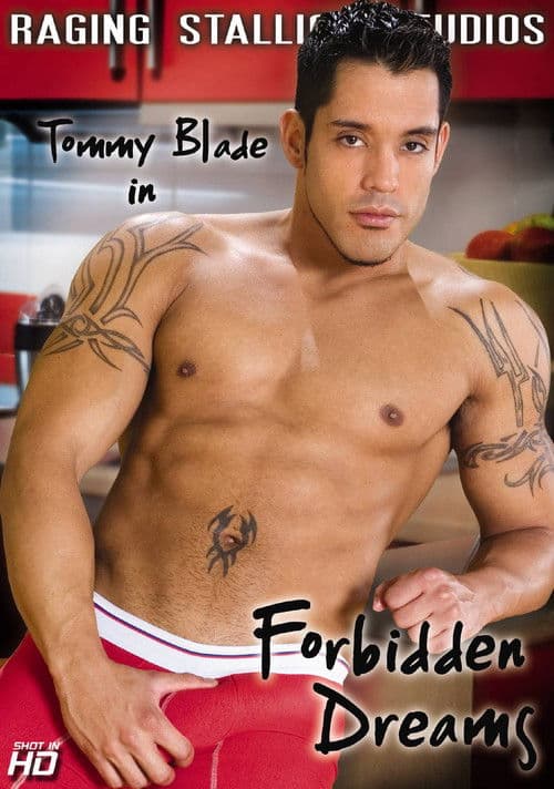 Forbidden Dreams poster