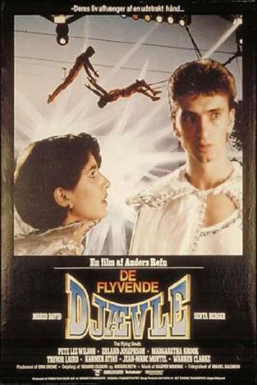 Flying Devils poster