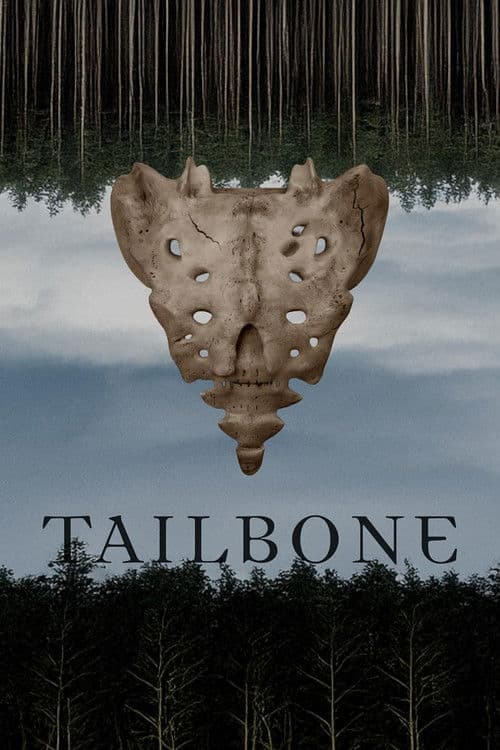 Tailbone poster
