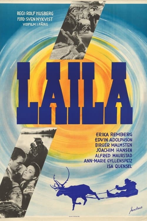 Laila poster