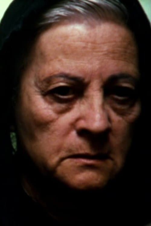 Araci Esteves profile photo