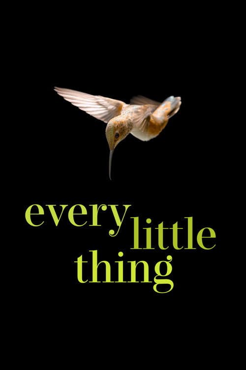 Every Little Thing poster