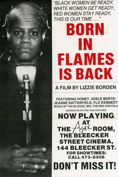 Born in Flames poster