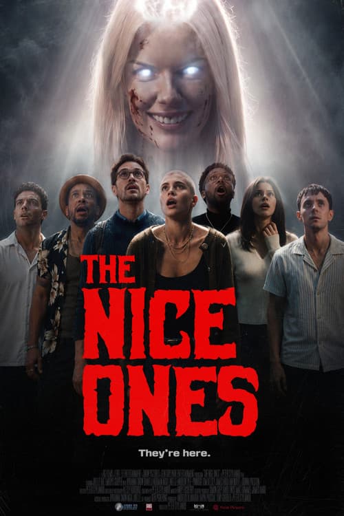 The Nice Ones poster