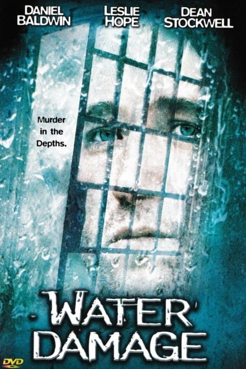 Water Damage poster